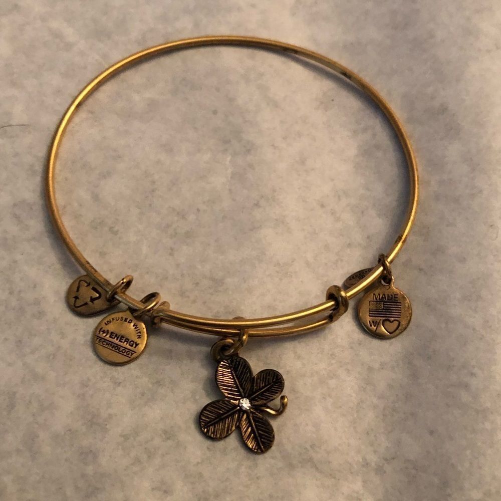 Alex and Ani Energy Bracelet
